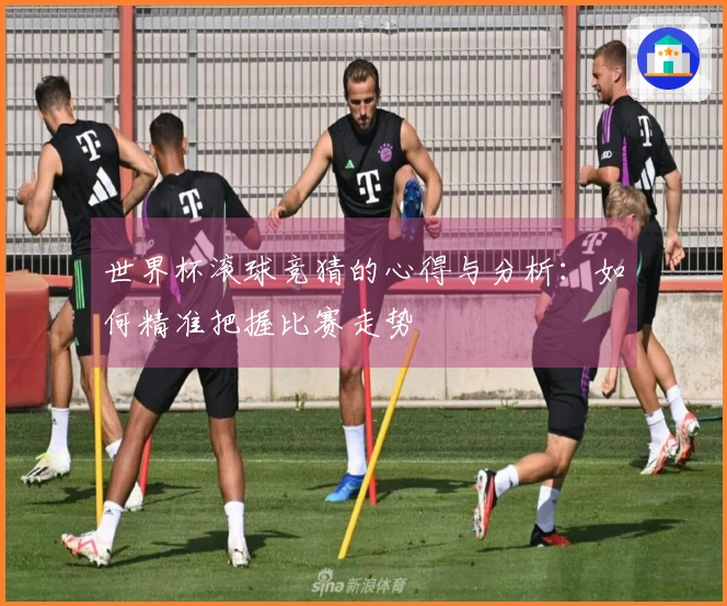 世界杯滚球竞猜的心得与分析：如何精准把握比赛走势