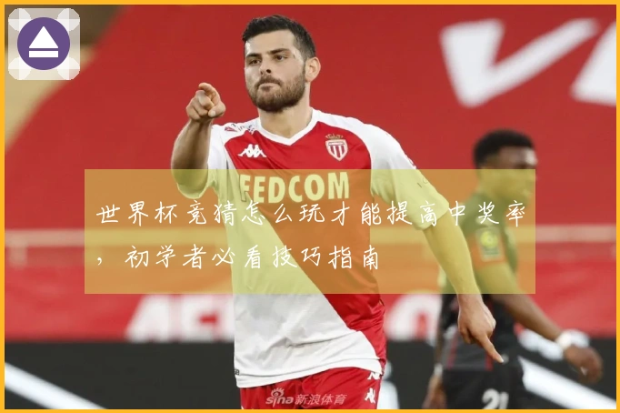 世界杯竞猜怎么玩才能提高中奖率，初学者必看技巧指南