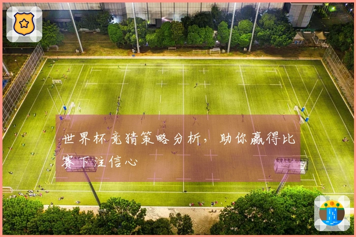 世界杯竞猜策略分析，助你赢得比赛下注信心