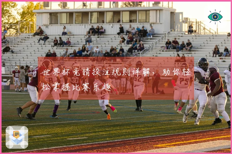 世界杯竞猜投注规则详解，助你轻松掌握比赛乐趣