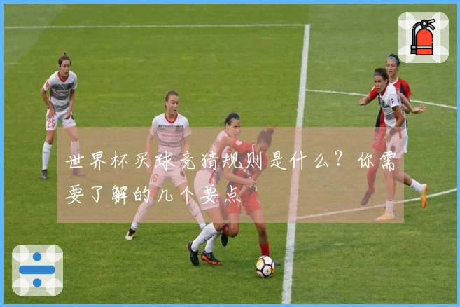 世界杯买球竞猜规则是什么？你需要了解的几个要点