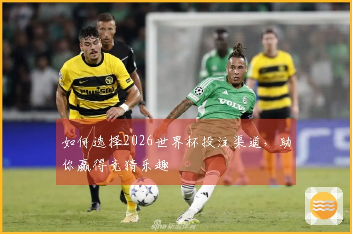 如何选择2026世界杯投注渠道，助你赢得竞猜乐趣