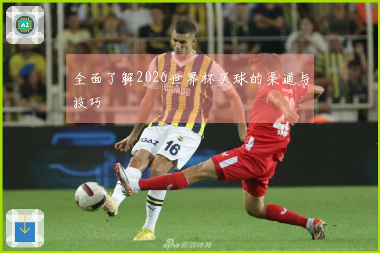 全面了解2026世界杯买球的渠道与技巧