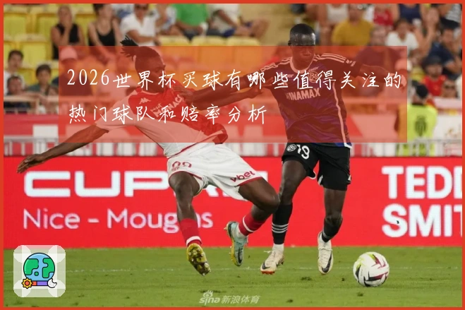 2026世界杯买球有哪些值得关注的热门球队和赔率分析