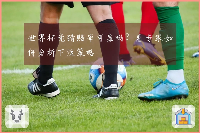 世界杯竞猜赔率可靠吗？看专家如何分析下注策略